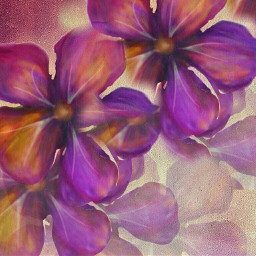flower freehanddrawing purple